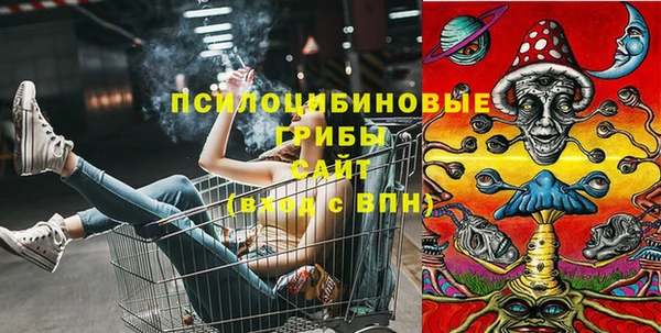 PSILOCYBIN Волоколамск